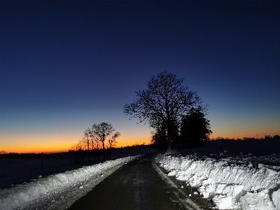 Nuit route neige arbre Photo