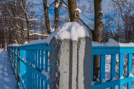 Images snow daytime blue Photo