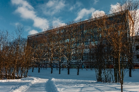 Images cloud sky building Photo