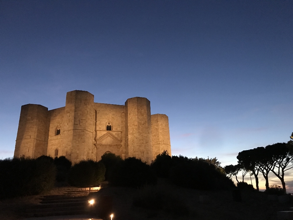 Tramonto cielo pianta paesaggio naturale
