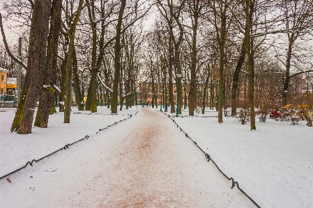 Images snow sky road surface Photo