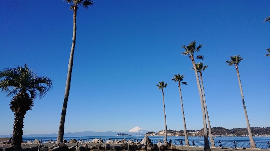 Foto Biru gunung fuji
 fuji langit biru
