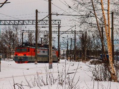 Images train sky plant Photo