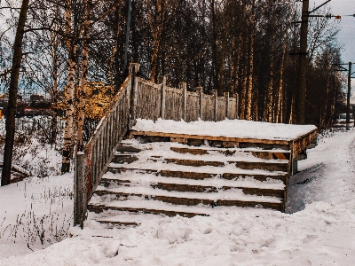 Foto Imagens plantar neve madeira