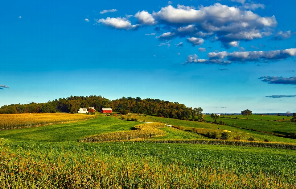 Naturalny chmura niebo zakład