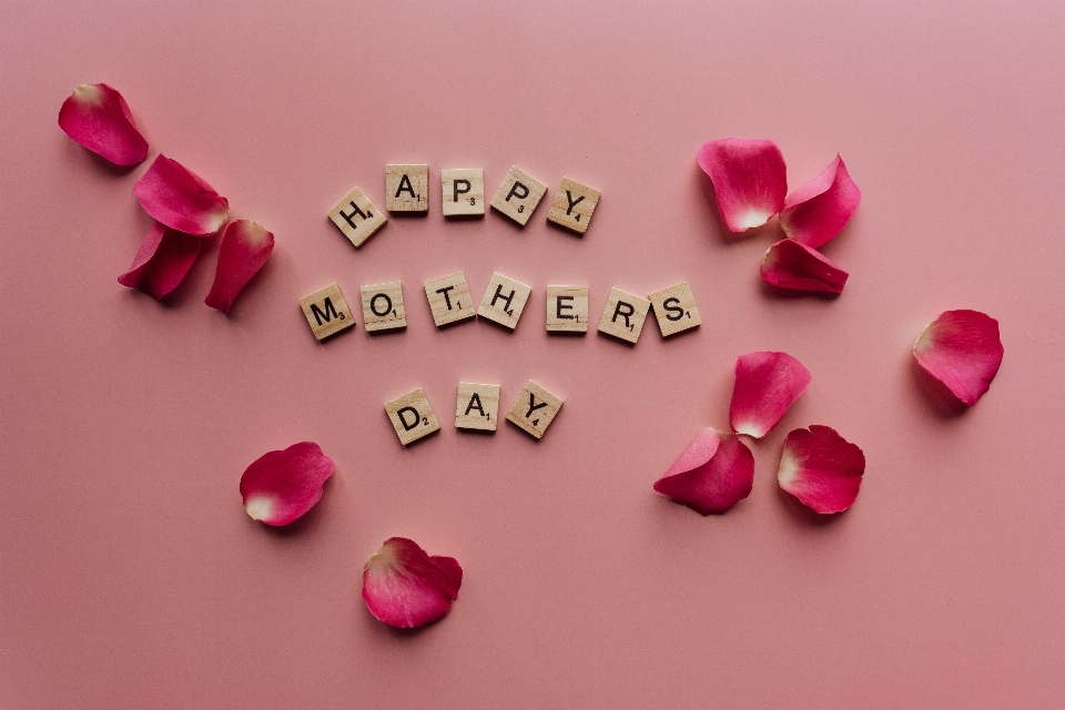 Happy mother day petal pink font