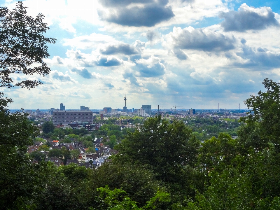 Düsseldorf
 rheinturm
 park himmel