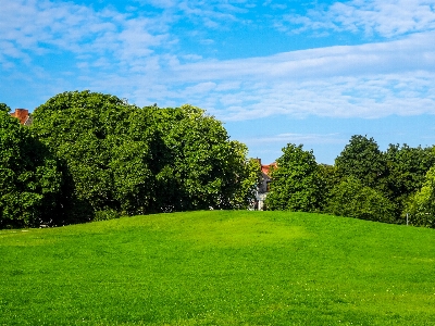 Bremen park city trees Photo