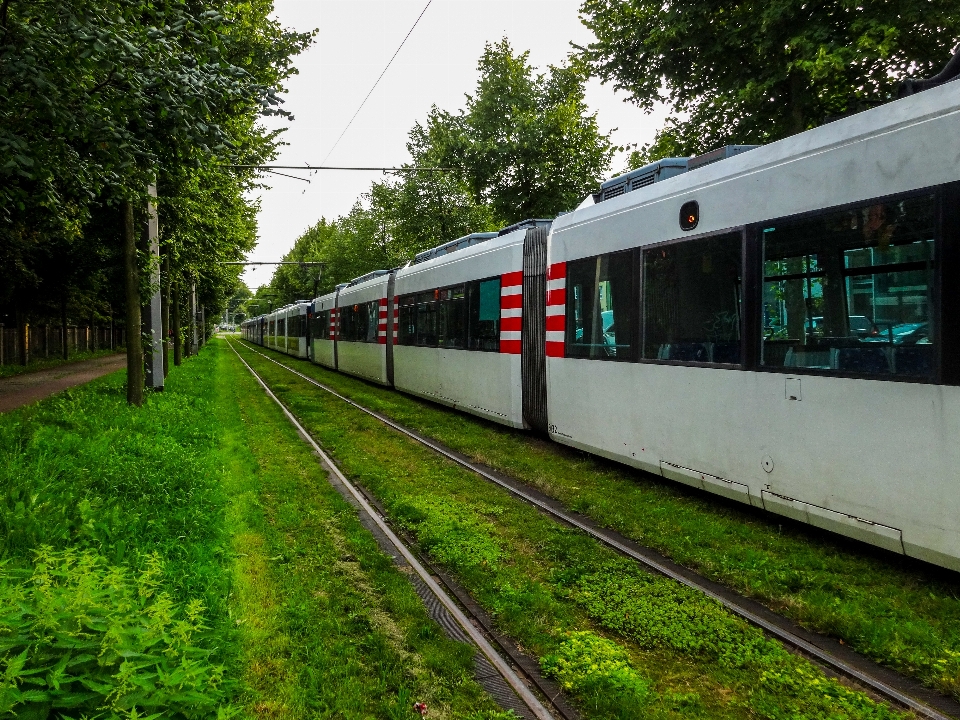 Kota bremen
 trem rel pohon