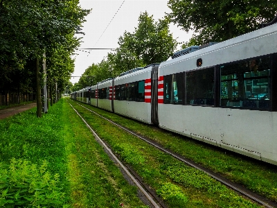 Bremen tram rails trees Photo