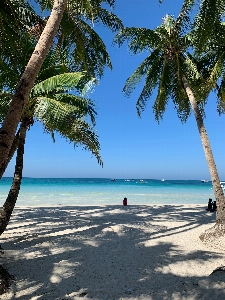 自然 ビーチ 海 空 写真