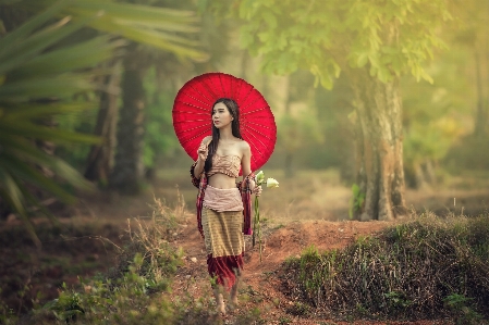 Beauty plant umbrella people in nature Photo