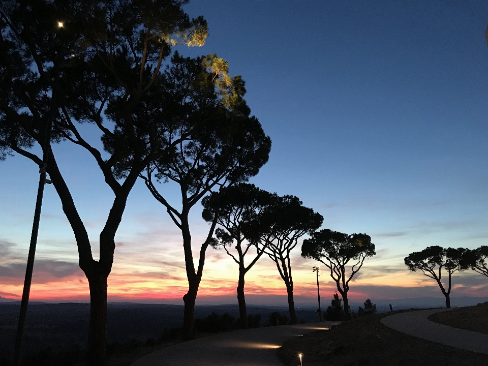 Puglia andria sunset sky