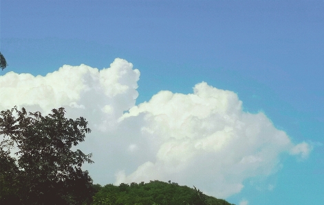 雲 空 景色 残光
 写真