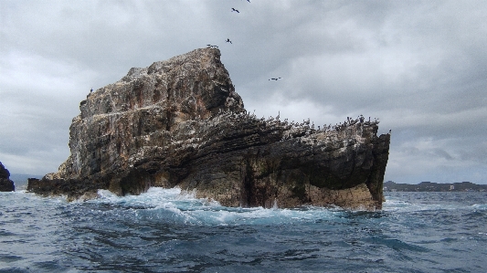 Island rocky birds seaguls Photo