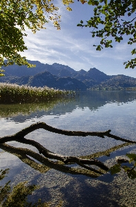 Tree water cloud sky Photo