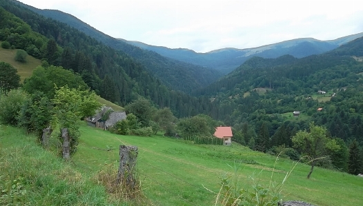 Carpathians plant sky mountain Photo