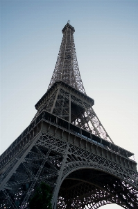 Sky tower tree monument Photo