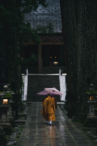 Plant road surface temple umbrella Photo