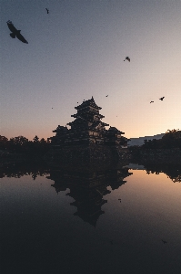 Water bird sky atmosphere Photo