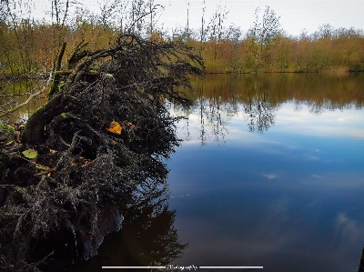 Pieceful water sky plant Photo