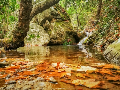 Samos greece potami water Photo