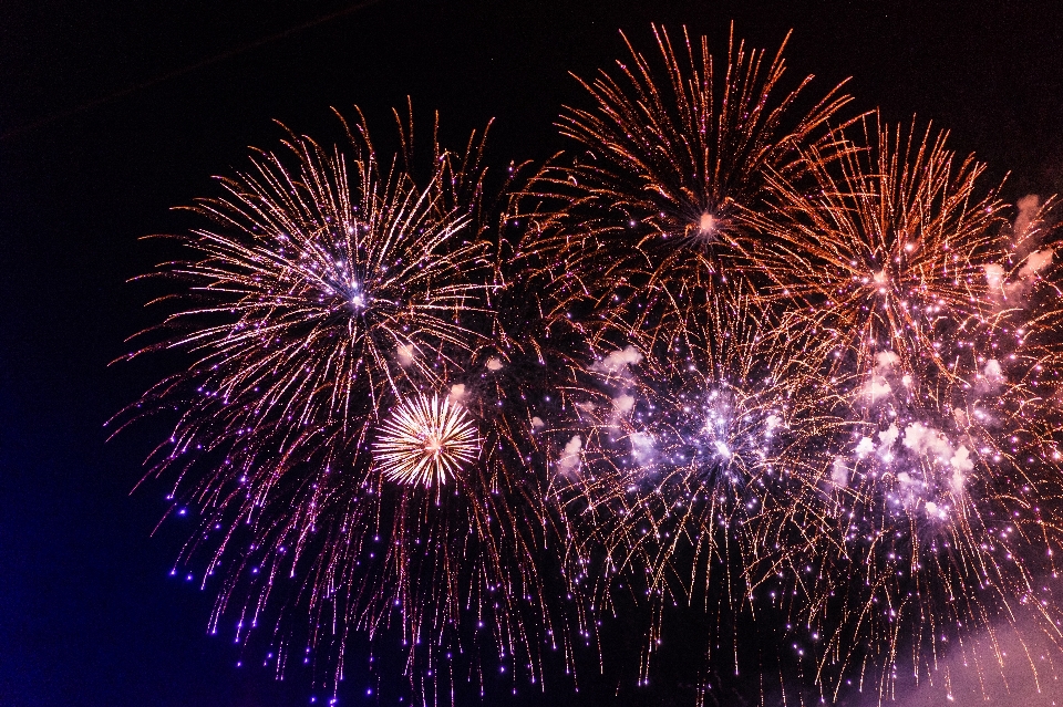 Fuochi d'artificio viola illuminazione organismo