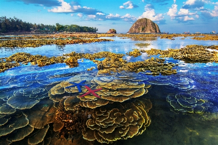 Sea water cloud sky Photo