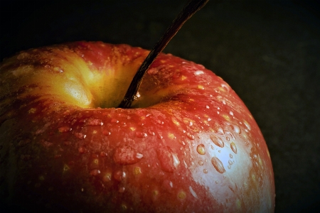 Apple fruit nature red Photo