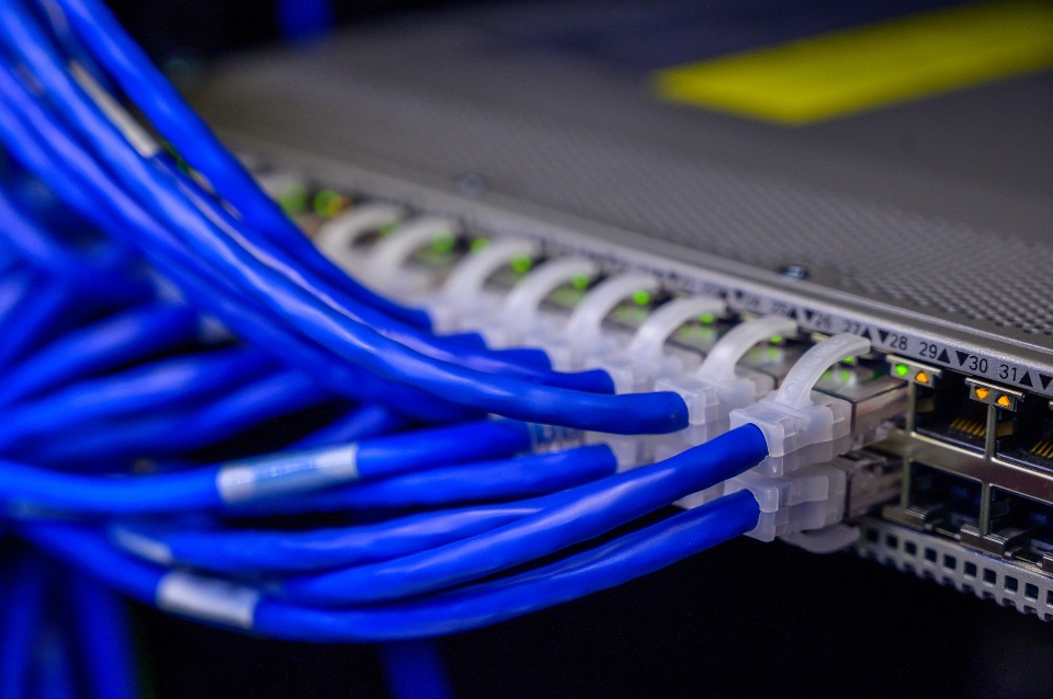 Cisco switches blue networking cables