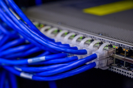 Cisco switches blue networking cables Photo