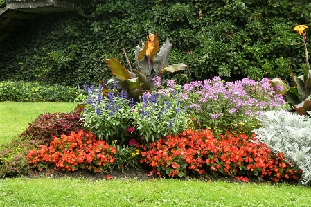 Park flowers innsbruck austria Photo