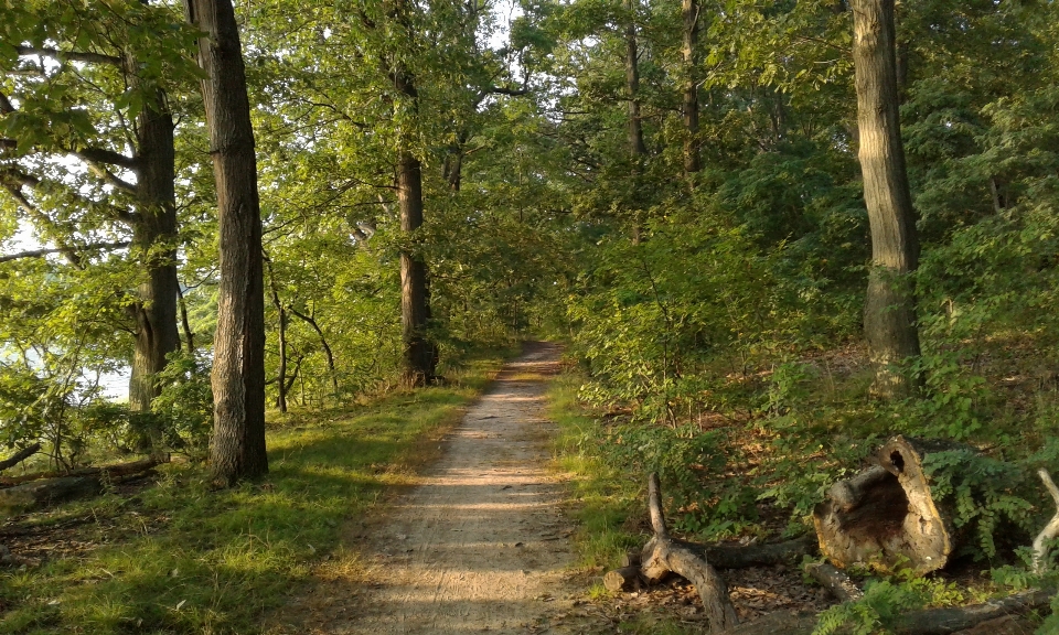 Hunter island pelham bay park trail dusk