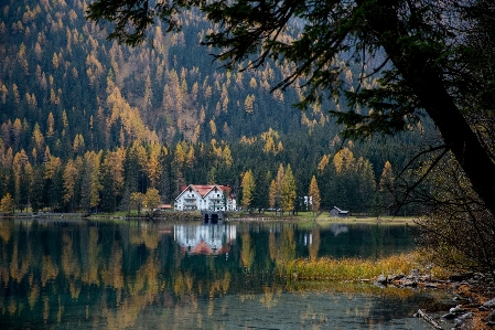 Foto Casa bellissimo acqua pianta