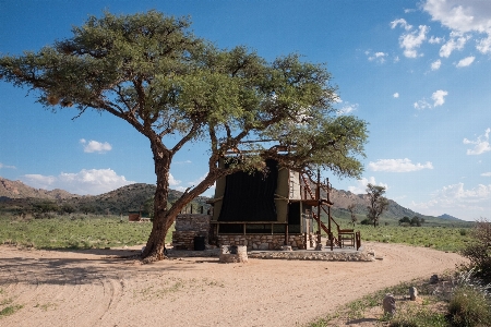 Namibia tree tent sky Photo