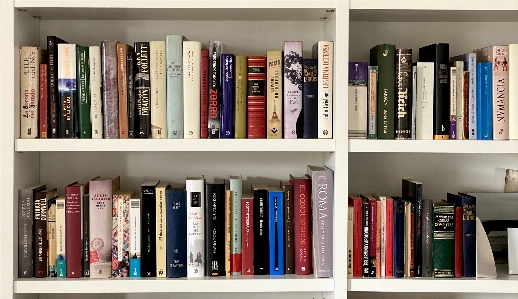 Books library bookcase shelf Photo