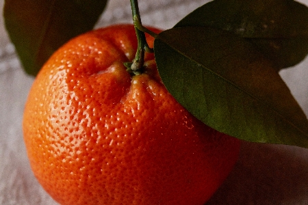 Essen rangpur
 clementine frucht Foto