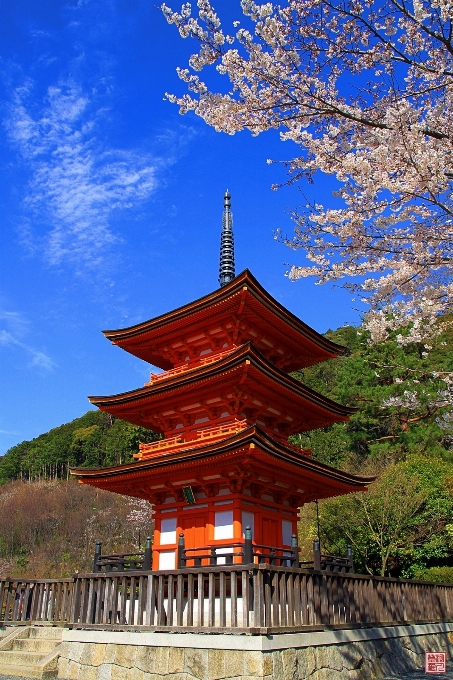 Kiyomizudera temple kyoto japan