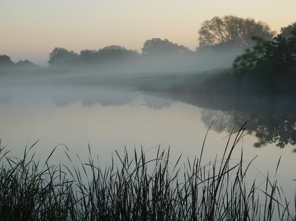 Fog pond calm morning