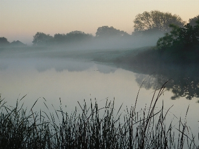 Fog pond calm morning Photo