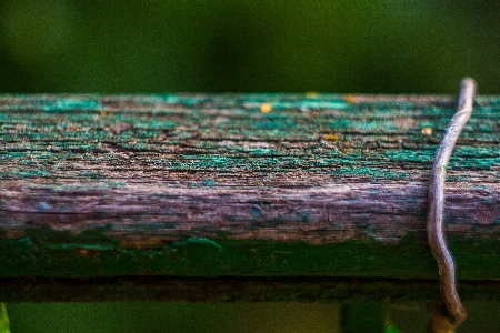 Wood old soviet green Photo