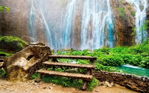 Waterfall water nature forest Photo