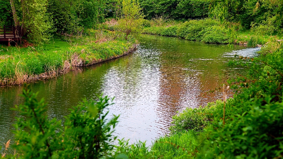 花 山 公園 水原
