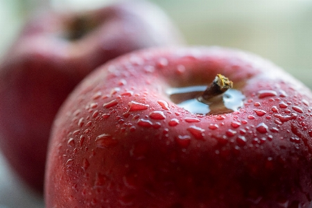 Apple fruit red wet Photo