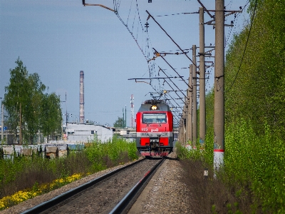 Images train sky plant Photo