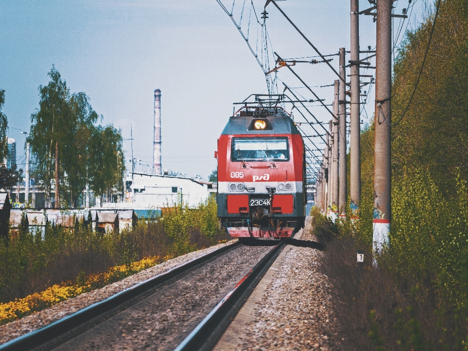 Images train plant sky