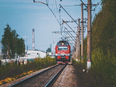 Images train plant sky Photo