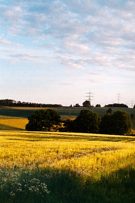 Cloud sky plant ecoregion