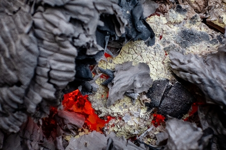 Fire red coals wood Photo