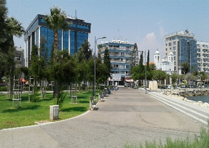 Sky green development trees Photo